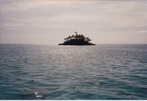 Tiny Island in Haapai Tonga by Willard Losinger 