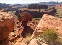 Tipsy little hoodoo has a great view of the Colorado River  Canyonlands NP Utah
