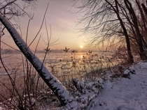 Todays Sunrise over the Vistula River - Warsaw Poland - degrees celsius  x