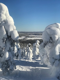 Todays view from Rukatunturi Finland Was - Celsius and sun shining whole day Pleasant day going down the hill  more at norvisions