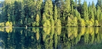 Toketee Lake Umpqua National Forest Oregon 