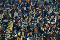 Tokyo Towns 
