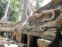 Tomb Raider Temple Ta Prohm Cambodia 