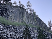 Took a nice early morning hike to Rainbow Falls and the Devils Postpile bear Mammoth CA 