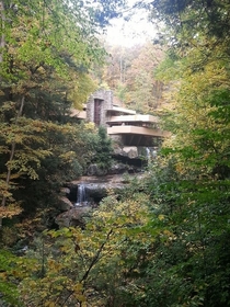 Took a trip to Fallingwater Frank Llyod Wright this weekend I could look and listen to the waterfalls for hours 