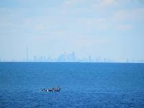 Toronto as seen from across Lake Ontario at Fort Niagara - 