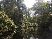 Tortuguero canals Costa Rica