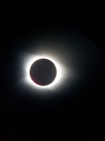 Total eclipse from  taken with a phone through a telescope Sorry for the picture of old events I just discovered the sub