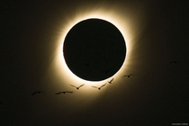 Total Solar Eclipse Credit Leonardo Caldas