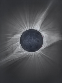 Total solar eclipse from August    image credit Michael S Adler