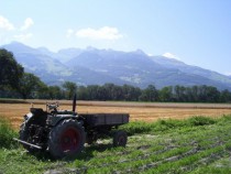 Tractor in a field - Schaan Liechtenstein 