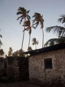 Traditional Zanzibari house at dusk OC 