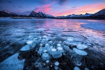 Trapped methane bubbles at Abraham Lake Canada  by Piriya Wongkongkathep