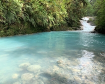 Travelled to Costa Rica recently and didnt go to a single beach Instead took a road trip around the country In the mountains of Sarchi we were awestruck by the brilliant blue waters of a nearby waterfall The contrast between the forest and river is amazin