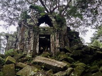 Tree grows from the ruins of Beng Mealea near Angkor Cambodia 