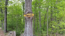 Tree swallowing a danger sign  x-post rphotoshopbattles