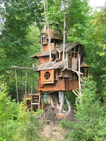 Treehouse in Redmond Washington 