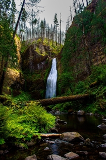 Trekked to the infrequently visited Clackamas Falls it didnt disappoint Mt Hood National Forest OR 