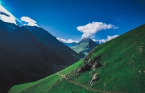 Trekking trail in Kashmir India 