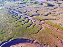 Trellis Drainage Pattern Bay of Fundy NS Canada 