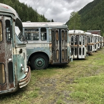 Trolley buses in Sandon BC