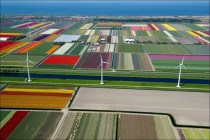 Tulip Fields x-post from rpics