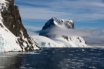 Turquet Point of Booth Island Antarctica 