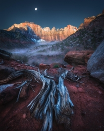 Twilight Drift Zion Canyon Utah 