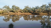 Typical outback river view in Australia  Charleville Queensland  x I love the winter colours of my home