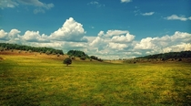 Ukrainian grasslands 