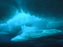 Under the ice in the Beaufort Sea North of Pt Barrow AK photo by Elizabeth Calvert 