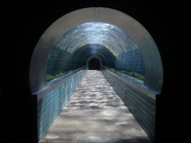 Underwater Viewing Tunnel - Colchester Zoo UK 
