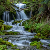 Unnamed Waterfall Gifford Pinchot Forest Washington 