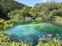 Unreal colours in the water at Plitvice National Park Croatia 