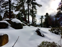 Untouched Snow in Californias San Bernardino Mountains 