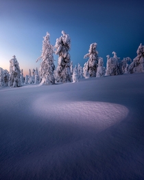 Untouched snow in Riisitunturi National Park Finland 