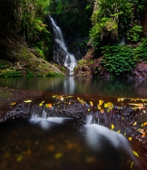 Upper Elbana Falls Queensland Australia 