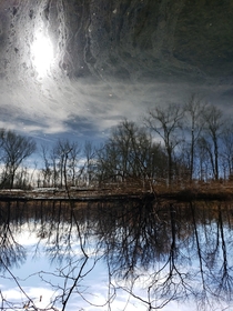 Upside down at the Nature Conservation trail in Springfield MO x OC