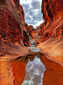 Utah is a special place Red Reef Trail at the Red Cliffs Campground Hurricane UT 