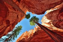 Utahs Bryce Canyon 