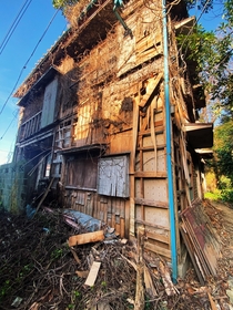 Vacant Japanese home being held together with scrap wood and vines