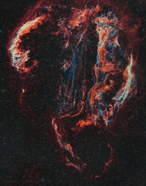 Veil Nebula x Panel Mosaic - HaOIII bi-colour with RGB stars   Hours of Integration Time 