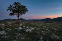 Velebit Mountain Croatia   By Tomislav Kriz
