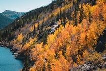 Vibrant fall colors in the mountains of Colorado 