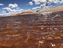 View from a post-rainstorm puddle Coral Pink Sand Dunes in Kamba Utah  x