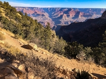 View from Bright Angel Trail Grand Canyon 
