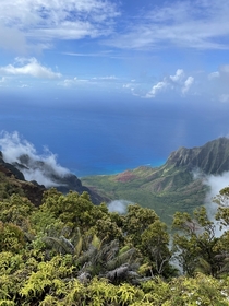 View from the Kalalau Lookout in Kauai HI  x