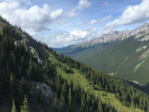 View from the Mount Norquay chairlift in the summer Banff National Park 