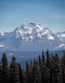 View from the top of Marmot Basin Jasper National Park Alberta 