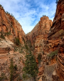 View from Walters Wiggles switchbacks in Zion National Park ZNP Utah USA 
